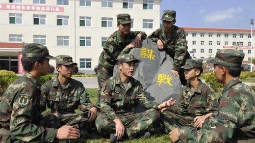 社区“洋营长” 从军营到警营，初心不变为民服务，深耕网络技术研究